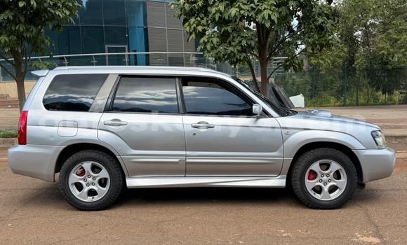 Oofamaa Subaru Forester Silver Makiinaa iti Nairobi keessatti Nairobi keessatti Oofamaa Subaru Forester Silver Makiinaa iti Nairobi keessatti Nairobi keessatti