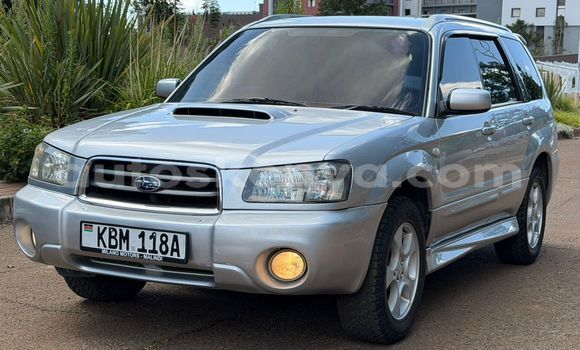 Oofamaa Subaru Forester Silver Makiinaa iti Nairobi keessatti Nairobi keessatti Oofamaa Subaru Forester Silver Makiinaa iti Nairobi keessatti Nairobi keessatti