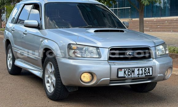 Oofamaa Subaru Forester Silver Makiinaa iti Nairobi keessatti Nairobi keessatti Oofamaa Subaru Forester Silver Makiinaa iti Nairobi keessatti Nairobi keessatti