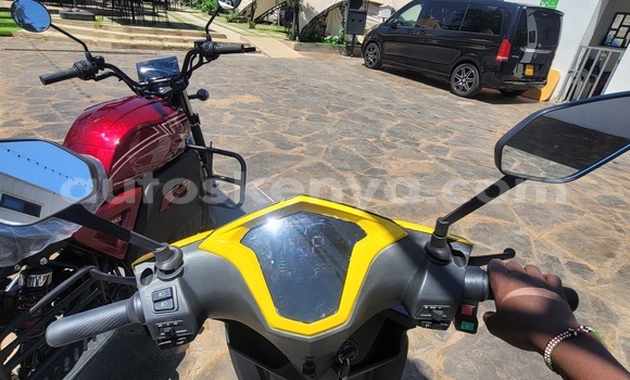 Haaraa Adler M Other Doqdoqqee iti Nairobi keessatti Nairobi keessatti Haaraa Adler M Other Doqdoqqee iti Nairobi keessatti Nairobi keessatti