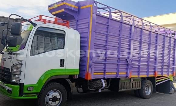 Buy New Isuzu FRR 33L White Truck in Nairobi in Nairobi Buy New Isuzu FRR 33L White Truck in Nairobi in Nairobi
