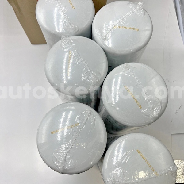 Big with watermark filtr