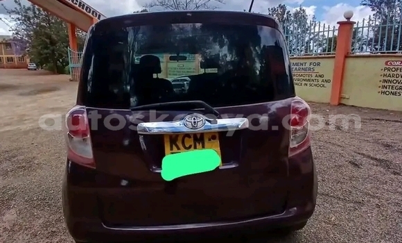 Buy Used Toyota Ractis Red Car in Bute in Northeast Kenya Buy Used Toyota Ractis Red Car in Bute in Northeast Kenya