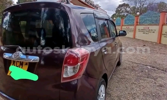Buy Used Toyota Ractis Red Car in Bute in Northeast Kenya Buy Used Toyota Ractis Red Car in Bute in Northeast Kenya