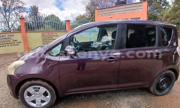 Buy Used Toyota Ractis Red Car in Bute in Northeast Kenya Buy Used Toyota Ractis Red Car in Bute in Northeast Kenya