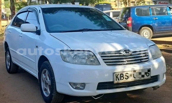 Buy Used Toyota Nadia White Car in Bute in Northeast Kenya Buy Used Toyota Nadia White Car in Bute in Northeast Kenya