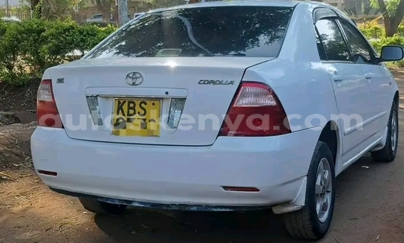 Buy Used Toyota Nadia White Car in Bute in Northeast Kenya Buy Used Toyota Nadia White Car in Bute in Northeast Kenya