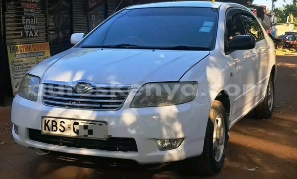 Buy Used Toyota Nadia White Car in Bute in Northeast Kenya Buy Used Toyota Nadia White Car in Bute in Northeast Kenya