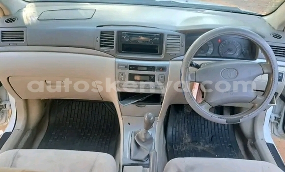 Buy Used Toyota Nadia White Car in Bute in Northeast Kenya Buy Used Toyota Nadia White Car in Bute in Northeast Kenya
