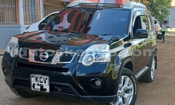 Buy Used Nissan X–Trail Black Car in Bute in Northeast Kenya Buy Used Nissan X–Trail Black Car in Bute in Northeast Kenya