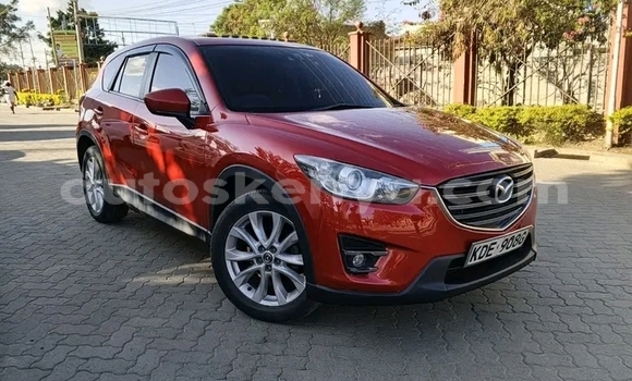 Buy Used Toyota Mark X Other Car in Bute in Northeast Kenya Buy Used Toyota Mark X Other Car in Bute in Northeast Kenya