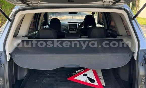 Buy Used Subaru Forester Other Car in Bute in Northeast Kenya Buy Used Subaru Forester Other Car in Bute in Northeast Kenya