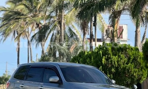 Buy Used Subaru Forester Other Car in Bute in Northeast Kenya Buy Used Subaru Forester Other Car in Bute in Northeast Kenya