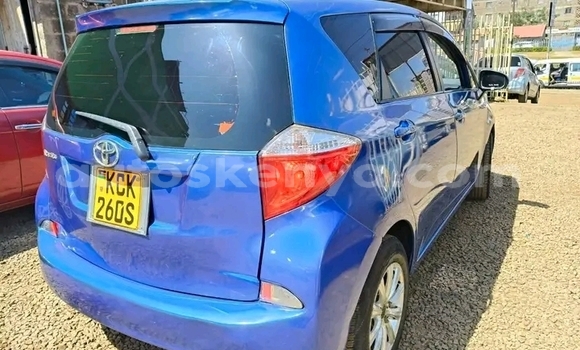 Buy Used Toyota Ractis Blue Car in Bute in Northeast Kenya Buy Used Toyota Ractis Blue Car in Bute in Northeast Kenya