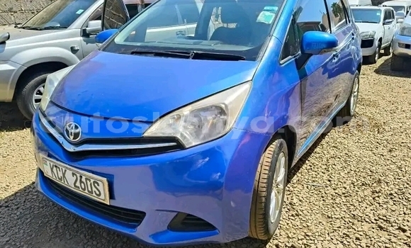 Buy Used Toyota Ractis Blue Car in Bute in Northeast Kenya Buy Used Toyota Ractis Blue Car in Bute in Northeast Kenya