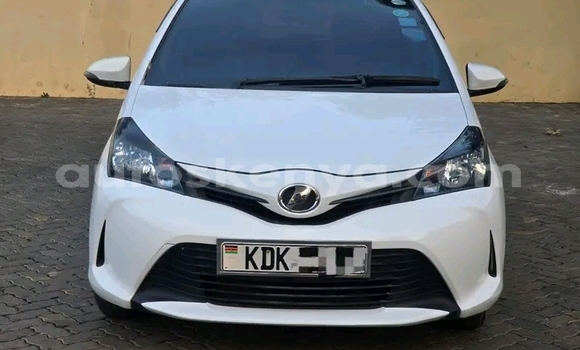 Buy Used Toyota Vitz White Car in Bute in Northeast Kenya Buy Used Toyota Vitz White Car in Bute in Northeast Kenya