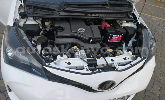 Buy Used Toyota Vitz White Car in Bute in Northeast Kenya Buy Used Toyota Vitz White Car in Bute in Northeast Kenya