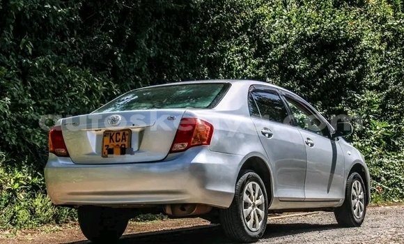 Buy Used Toyota Axio Other Car in Bute in Northeast Kenya
