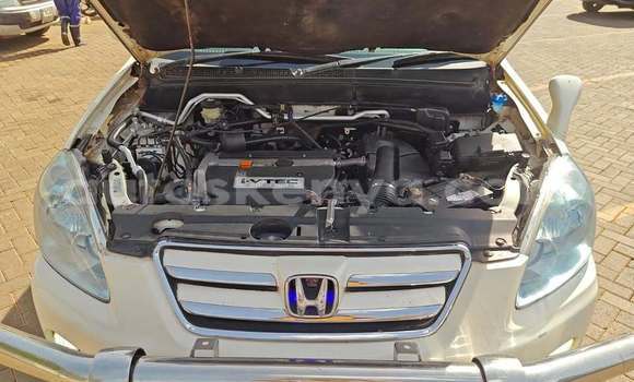 Buy Used Nissan X–Trail White Car in Nairobi in Nairobi Buy Used Nissan X–Trail White Car in Nairobi in Nairobi