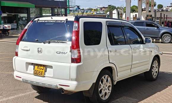 Buy Used Nissan X–Trail White Car in Nairobi in Nairobi Buy Used Nissan X–Trail White Car in Nairobi in Nairobi