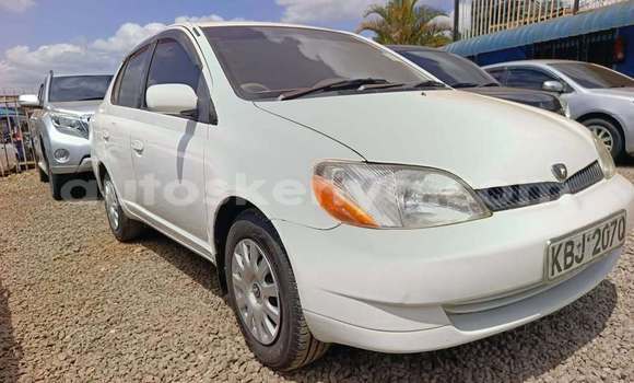 Buy Used Toyota Platz White Car in Nairobi in Nairobi