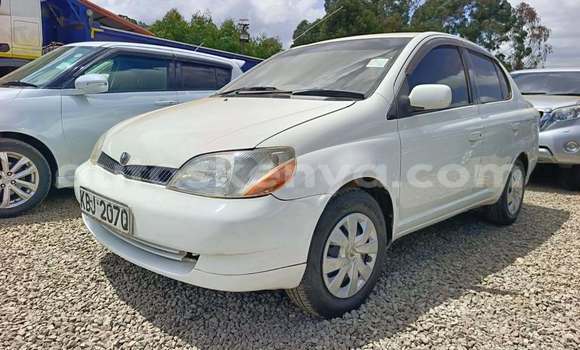 Buy Used Toyota Platz White Car in Nairobi in Nairobi Buy Used Toyota Platz White Car in Nairobi in Nairobi