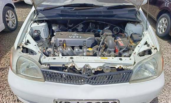 Buy Used Toyota Platz White Car in Nairobi in Nairobi Buy Used Toyota Platz White Car in Nairobi in Nairobi