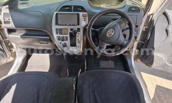 Buy Used Toyota Ractis Other Car in Bute in Northeast Kenya Buy Used Toyota Ractis Other Car in Bute in Northeast Kenya