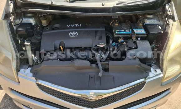 Buy Used Toyota Ractis Other Car in Bute in Northeast Kenya Buy Used Toyota Ractis Other Car in Bute in Northeast Kenya