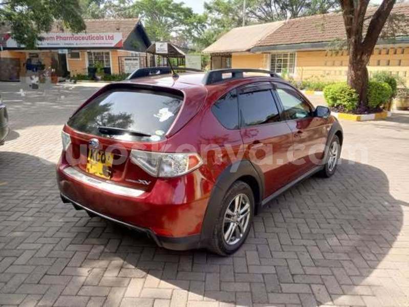 Big with watermark suzuki ignis nairobi nairobi 28752