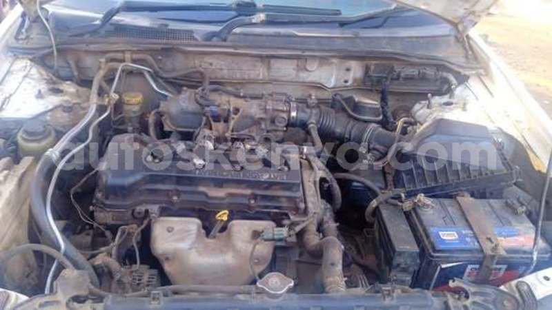 Big with watermark adler diplomat nairobi nairobi 28773