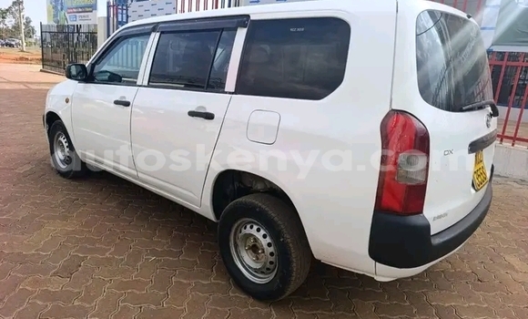 Buy Used Toyota Probox White Car in Bute in Northeast Kenya Buy Used Toyota Probox White Car in Bute in Northeast Kenya