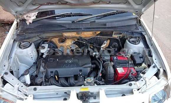 Buy Used Toyota Platz Other Car in Nairobi in Nairobi