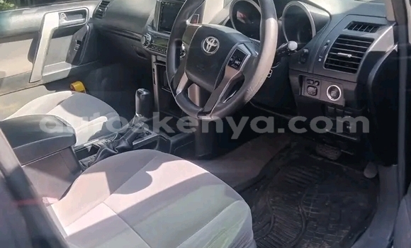 Buy Used Toyota Prado Other Car in Bute in Northeast Kenya Buy Used Toyota Prado Other Car in Bute in Northeast Kenya