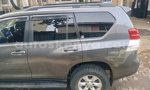 Buy Used Toyota Prado Other Car in Bute in Northeast Kenya Buy Used Toyota Prado Other Car in Bute in Northeast Kenya