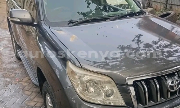 Buy Used Toyota Prado Other Car in Bute in Northeast Kenya Buy Used Toyota Prado Other Car in Bute in Northeast Kenya