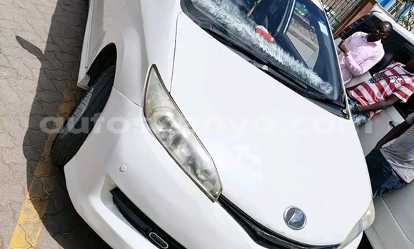 Buy Used Toyota Wish White Car in Bute in Northeast Kenya Buy Used Toyota Wish White Car in Bute in Northeast Kenya