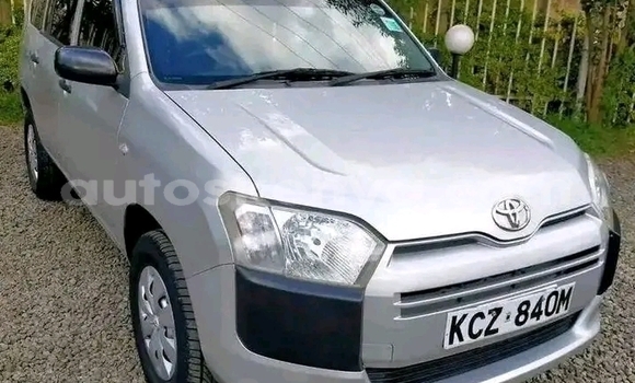 Buy Used Toyota Probox White Car in Bute in Northeast Kenya Buy Used Toyota Probox White Car in Bute in Northeast Kenya