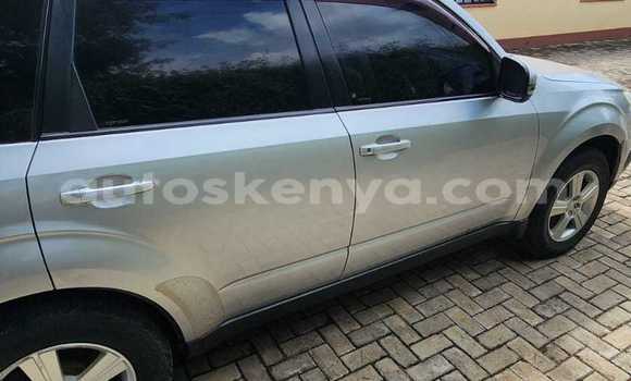 Buy Used Subaru Forester Silver Car in Nairobi in Nairobi Buy Used Subaru Forester Silver Car in Nairobi in Nairobi