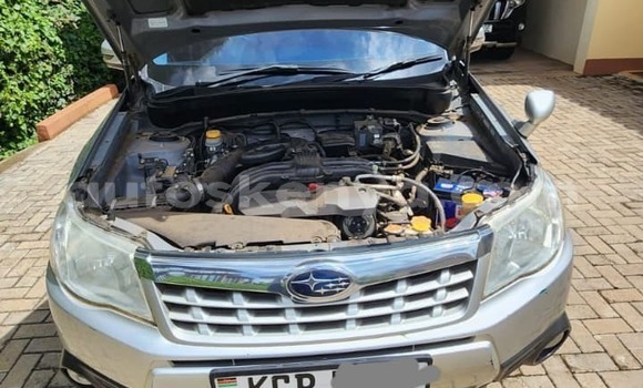 Buy Used Subaru Forester Silver Car in Nairobi in Nairobi Buy Used Subaru Forester Silver Car in Nairobi in Nairobi