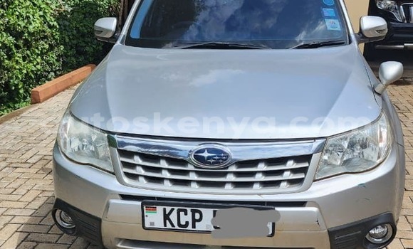 Buy Used Subaru Forester Silver Car in Nairobi in Nairobi Buy Used Subaru Forester Silver Car in Nairobi in Nairobi