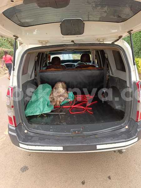 Big with watermark toyota probox nairobi nairobi 28844
