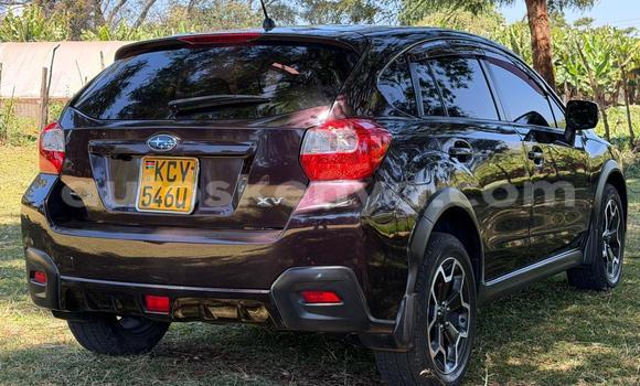 Oofamaa Subaru XV Other Makiinaa iti Nairobi keessatti Nairobi keessatti Oofamaa Subaru XV Other Makiinaa iti Nairobi keessatti Nairobi keessatti