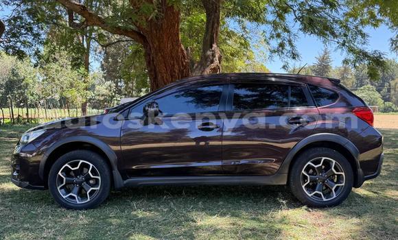 Oofamaa Subaru XV Other Makiinaa iti Nairobi keessatti Nairobi keessatti Oofamaa Subaru XV Other Makiinaa iti Nairobi keessatti Nairobi keessatti