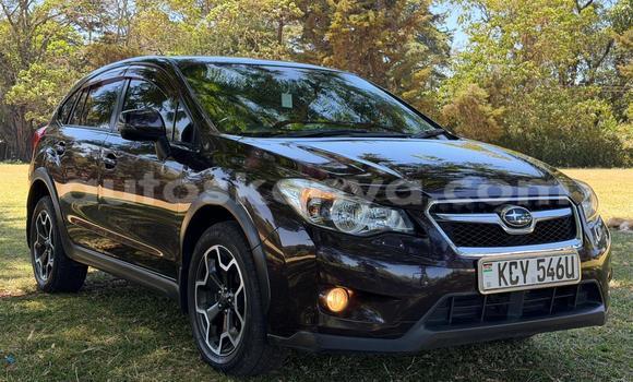 Oofamaa Subaru XV Other Makiinaa iti Nairobi keessatti Nairobi keessatti Oofamaa Subaru XV Other Makiinaa iti Nairobi keessatti Nairobi keessatti