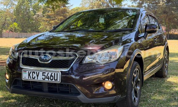 Oofamaa Subaru XV Other Makiinaa iti Nairobi keessatti Nairobi keessatti Oofamaa Subaru XV Other Makiinaa iti Nairobi keessatti Nairobi keessatti