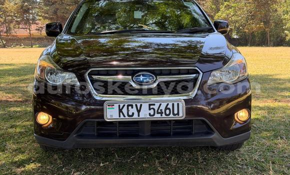 Oofamaa Subaru XV Other Makiinaa iti Nairobi keessatti Nairobi keessatti Oofamaa Subaru XV Other Makiinaa iti Nairobi keessatti Nairobi keessatti