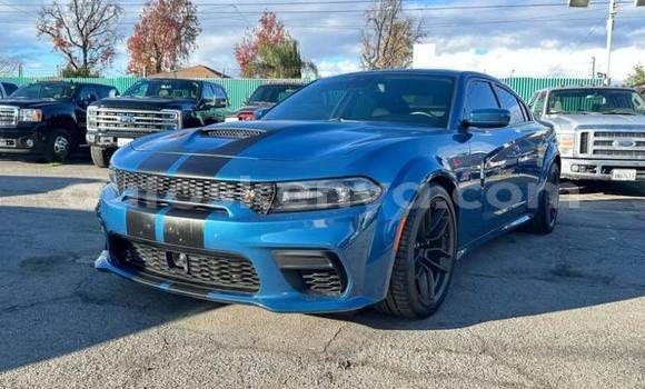Buy Used Dodge Charger Blue Car in Sagana in Central