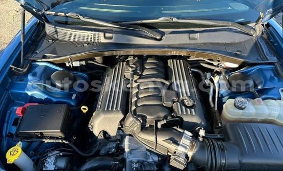 Oofamaa Dodge Charger Blue Makiinaa iti Sagana keessatti Central keessatti Oofamaa Dodge Charger Blue Makiinaa iti Sagana keessatti Central keessatti