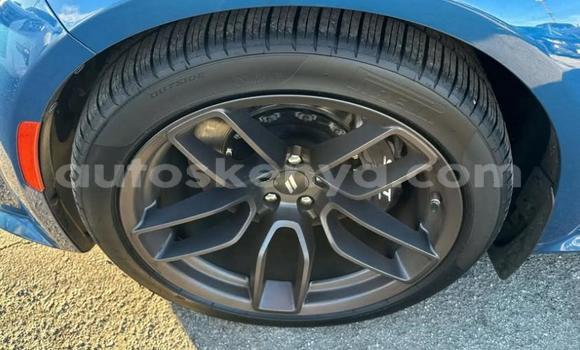 Oofamaa Dodge Charger Blue Makiinaa iti Sagana keessatti Central keessatti Oofamaa Dodge Charger Blue Makiinaa iti Sagana keessatti Central keessatti